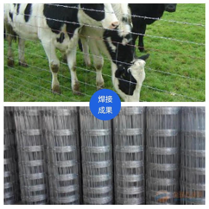 草(cǎo)原網、牛欄網